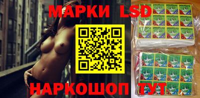 гидропоника Тара