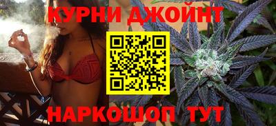 гидра Татарск