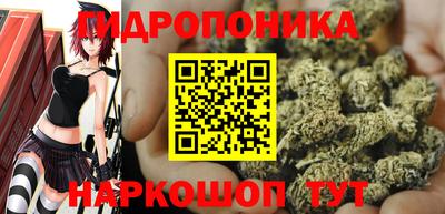 гидропоника Тара